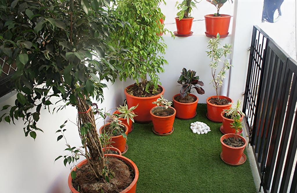 Lassi Guest House Udaipur Exterior foto